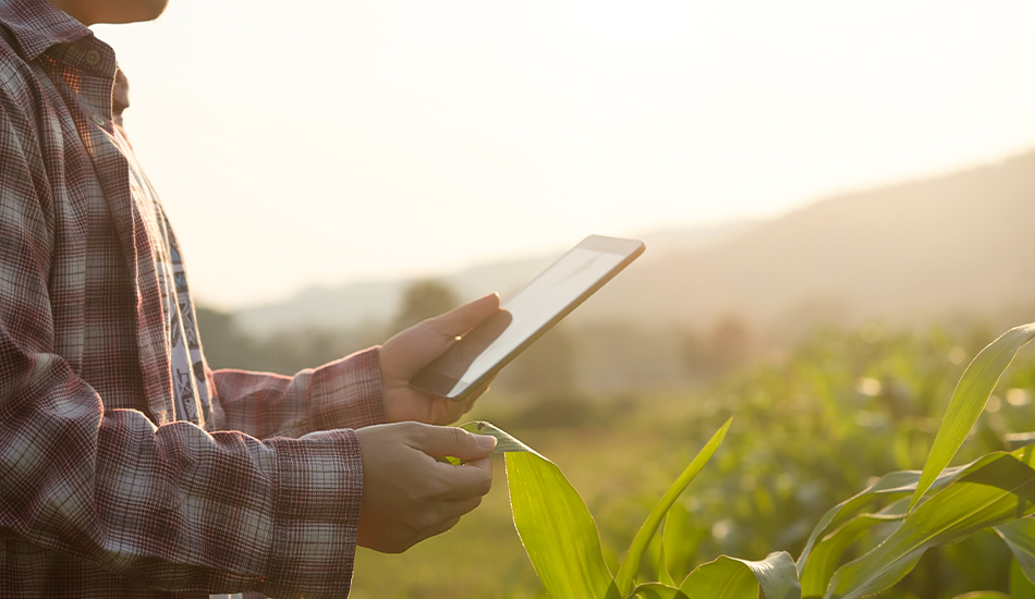 digitalización del sector agrícola