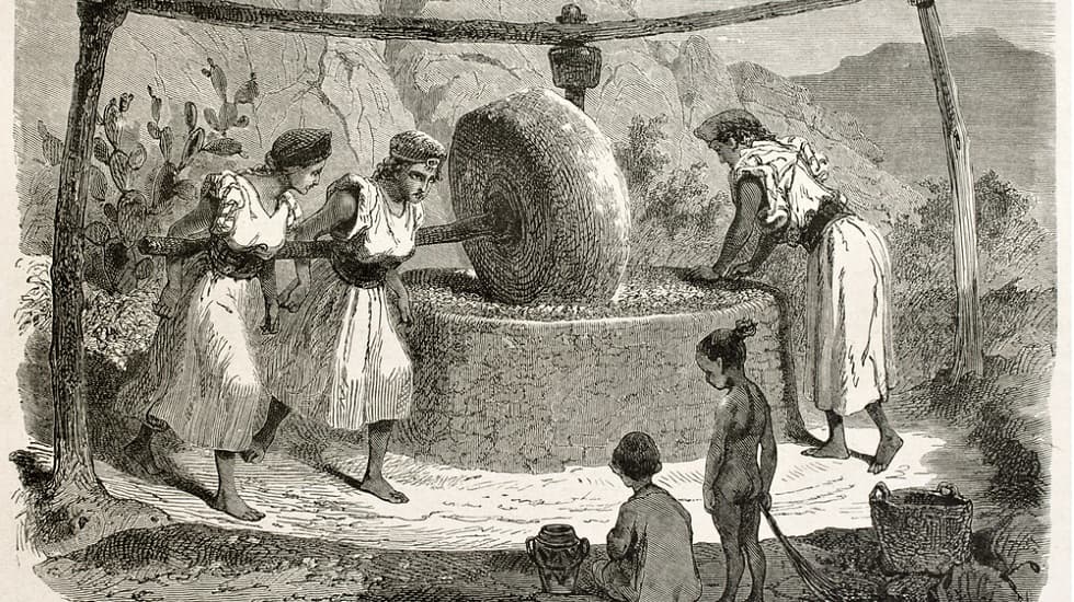 aceite en la antiguedad