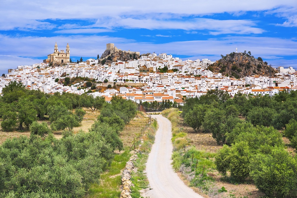 oleoturismo turismo sostenible desarrollo rural aceite de oliva virgen extra aove La Comunal